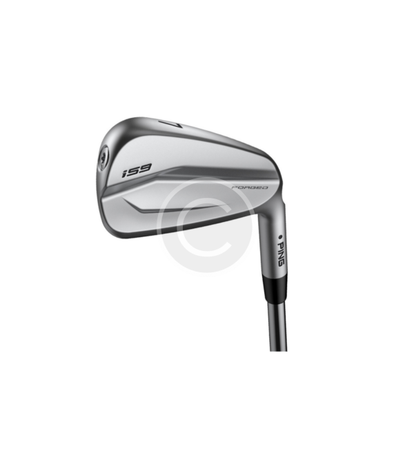 Golf Irons - Imagen 3